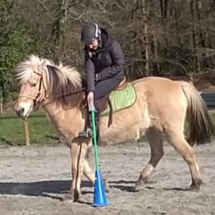 centre-equestre-pontorson-combourg-equitation-dol-de-bretagne-stage-poneys-cheval