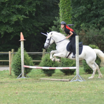 cours-cheval-poney-combourg