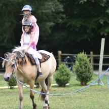 equitation-cours-cheval-combourg